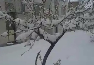 برف سنگین سه روز مانده به بهار + فیلم