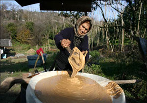 شکر سرخ، سوغاتی از سرزمین سبز