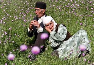 انتظارات زناشویی سالمندان چگونه است؟!