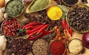 فلفل نبین چه ریزه بخون ببین چه چیزه!