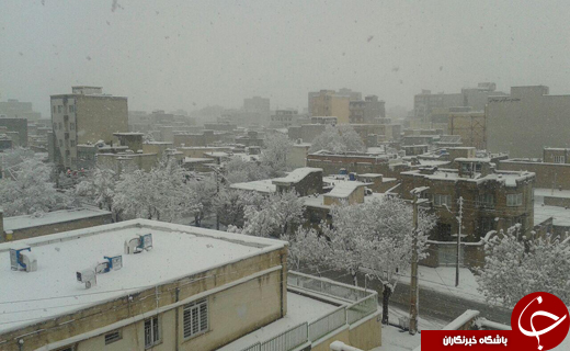 بارش برف در آستانه سال نو