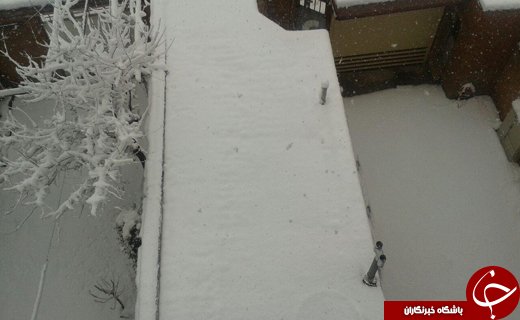 بارش برف در آستانه سال نو