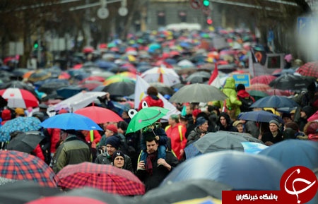 از چمدان بودجه انگلیس تا اسب&zwnj;های مینیاتوری درمانگر