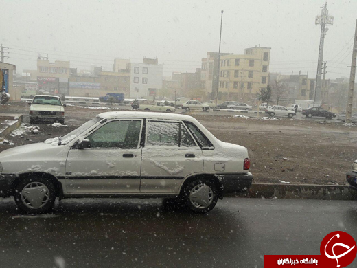 برف به زنجان رسید + تصاویر