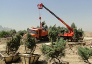 جابه جایی 4500 اصله درخت در اصفهان
