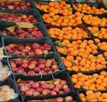 توزیع 800 تن میوه شب عید در سیستان و بلوچستان