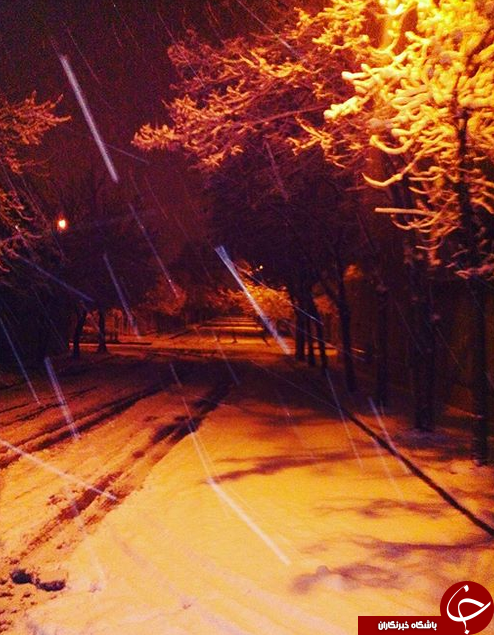 تماشای چهره ی زمستانی بهار را از دست ندهید+تصاویر