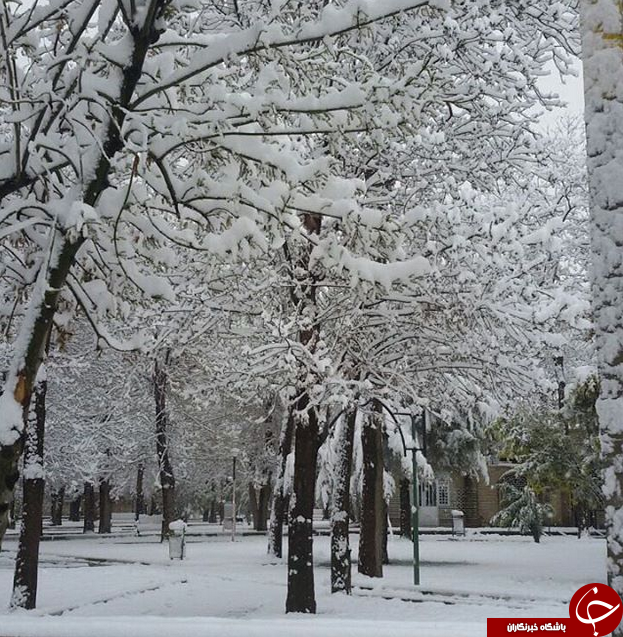 تماشای چهره ی زمستانی بهار را از دست ندهید+تصاویر