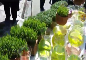 از شهروندخبرنگار در سالی که گذشت تا برگزاری مراسم های نوروزخوانی در کشور+ فیلم وتصویر