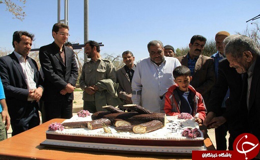 جشن تولد درخت چنار باجگان شهرستان بافق +تصاویر
