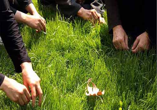 نو بهار است در آن کوش که خوشدل باشی + تصاویر