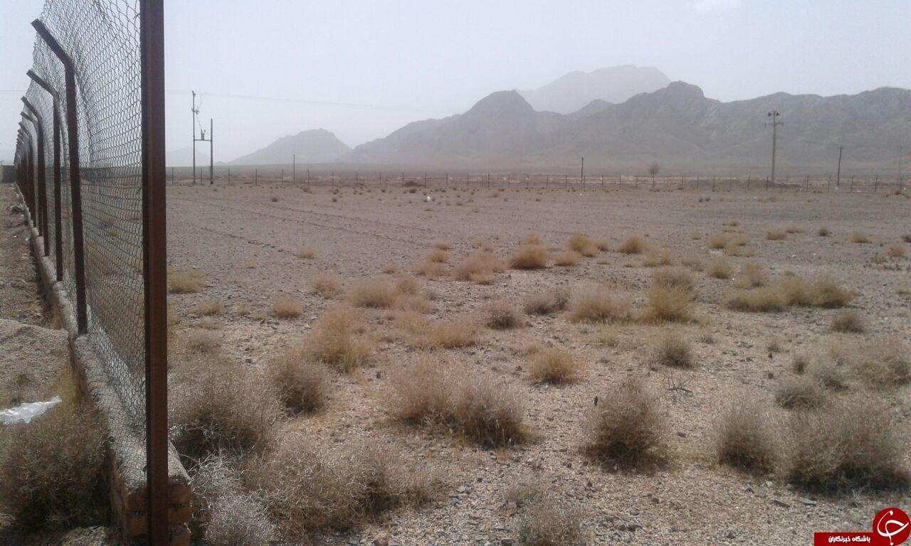 بوته&zwnj;هایی که به جای چمن در زمین فوتبال در آمدند! + تصاویر