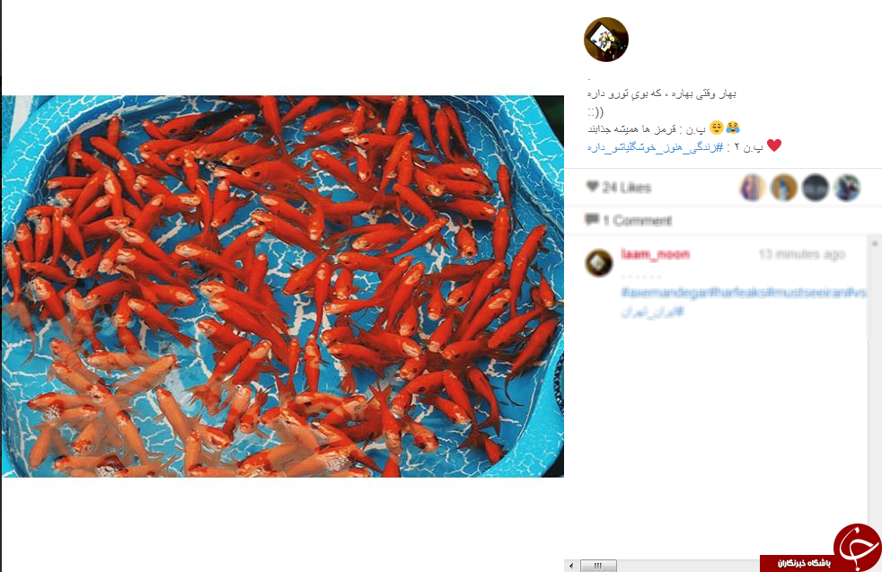 بر سر سفره ی عید صفحات مجازی+تصاویر