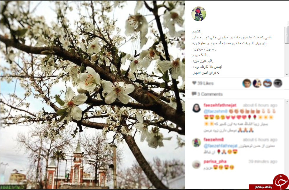 بر سر سفره ی عید صفحات مجازی+تصاویر