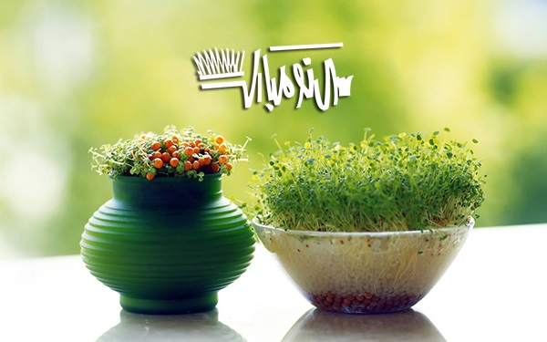 برترین اپلیکیشن های عکاسی سلفی/عاشقان موتورسیکلت اینجا کلیک کنید/سفر نوروزی به استان خوزستان