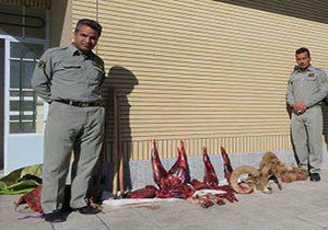 شکارچی سنگدل در قوچان به دام افتاد