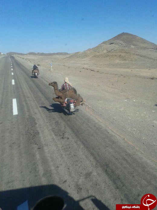 بسته + تصاویر
