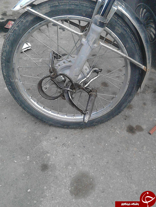 بسته + تصاویر