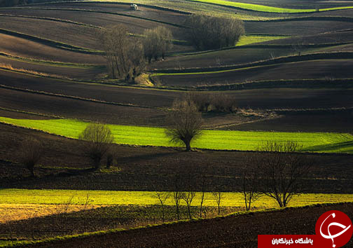 تصاویر شگفت انگیز از مزارع کشاورزی/////////////برای عید