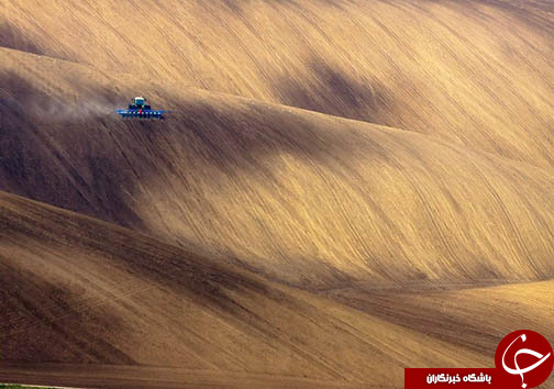 تصاویر شگفت انگیز از مزارع کشاورزی/////////////برای عید