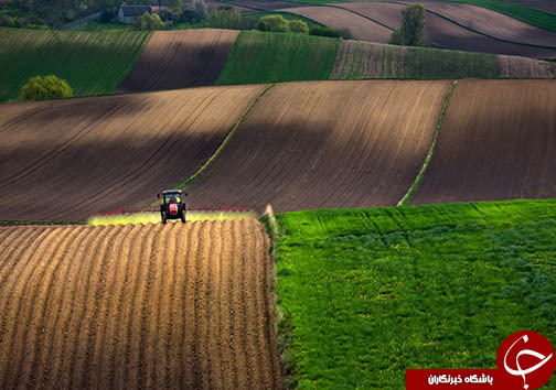 تصاویر شگفت انگیز از مزارع کشاورزی/////////////برای عید