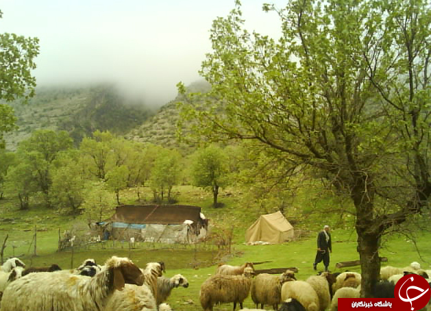 عکس هایی که بوی زندگی می&zwnj;دهند ( قسمت بیست و شش)