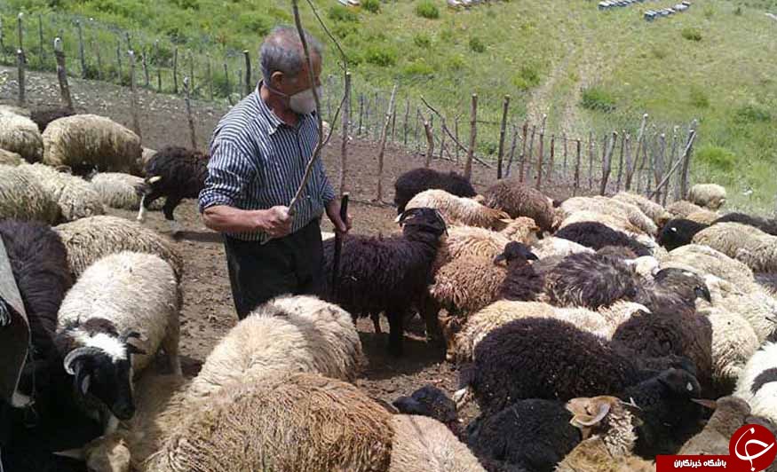 عکس هایی که بوی زندگی می&zwnj;دهند ( قسمت بیست و شش)