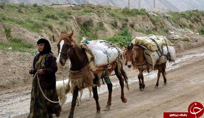 عکس هایی که بوی زندگی می&zwnj;دهند ( قسمت بیست و شش)