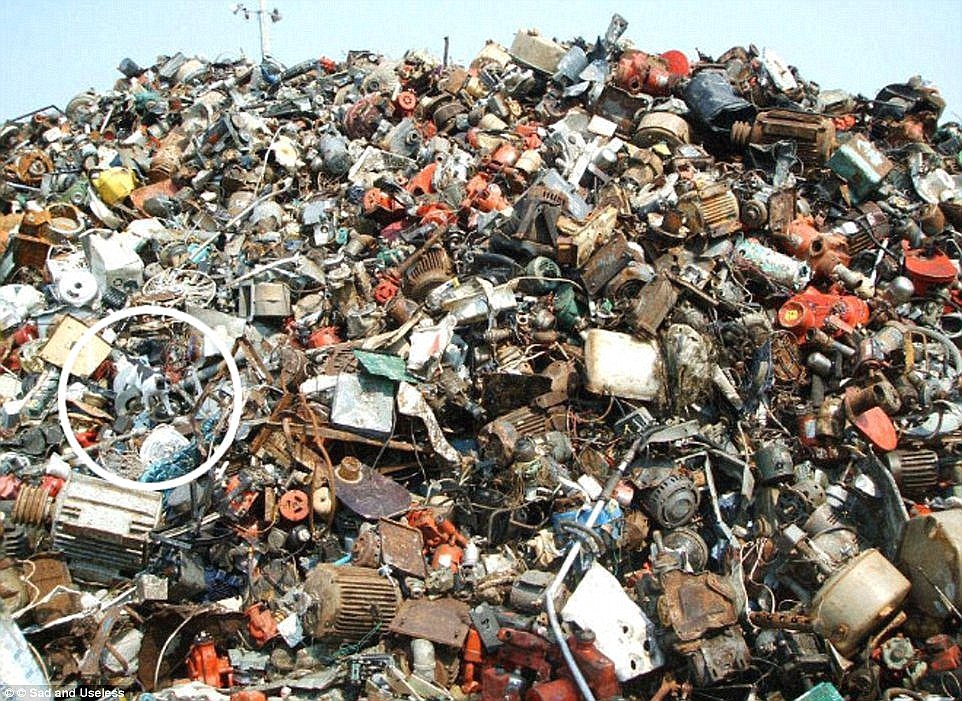 آیا می&zwnj;توانید پلنگ را در این تصویر پیدا کنید؟
