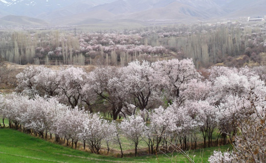 کم هزینه&zwnj;ترین شهرهای ایران در نوروز