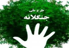 اجرای طرح جنگلانه در عرصه های طبیعی استان سمنان