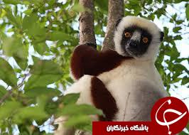 جوان&zwnj;ترین عکاس دنیا + تصاویر