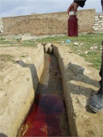 نمونه برداری از کشتارگاهها و زندان ماکو