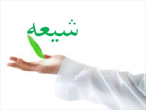 گامهای سفر علی اف به تهران / شکاف میان باکو و 