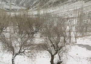 توصيه های هواشناسی کشاورزی