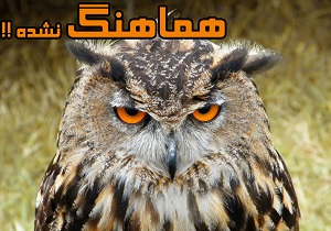 لطفا برای دیدن این گزارش 