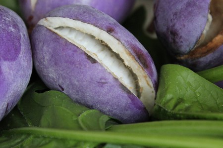 عجیب&zwnj;ترین میوه&zwnj;های جهان را ببینید+تصاویر