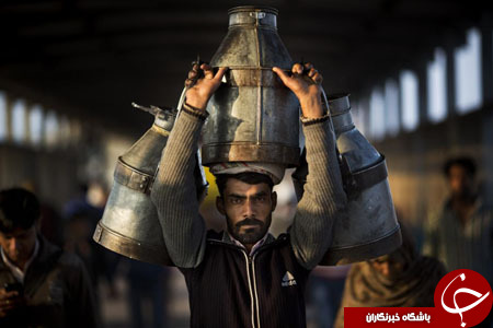 از تبلیغات انتخاباتی در تهران تا معاینه دندان شیر آفریقایی