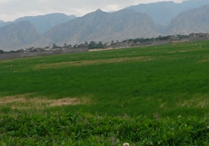 چهره متفاوت طبیعت در زمستان +فیلم
