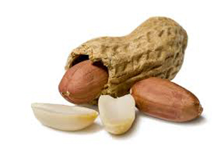 این دانه آجیل را نخورید
