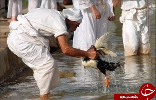 مذهبی زنده به آب