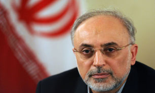 صالحی: برخی کشورها حتی سیل و زلزله رخ داده در جهان را گردن ایران می&zwnj;اندازند