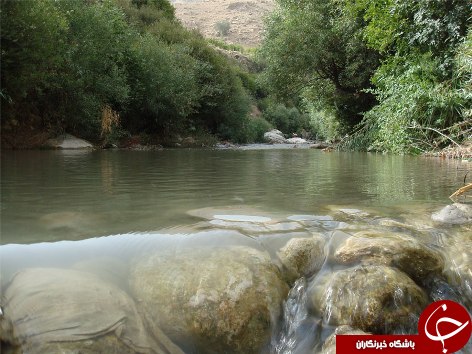 جادوی طبیعت در باغملک
