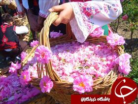 صدور 6 مجوز احداث واحدهاي صنايع تبديلي در خوزستان