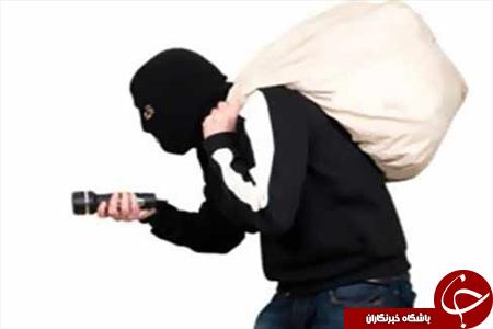 شهری با دزدهای پرنده + تصاویر