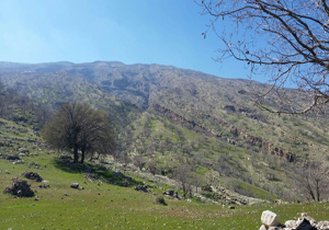 بسته