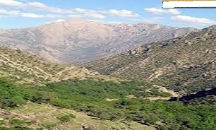 جذابیتهای منطقه حفاظت شده بوزین و مرخیل