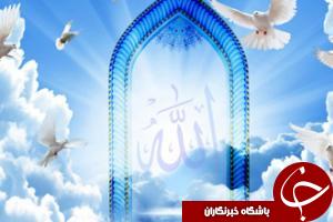 به چه کسی دزد می‌گویند؟