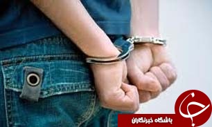 کاهش 7 درصدی سرقت در گلستان