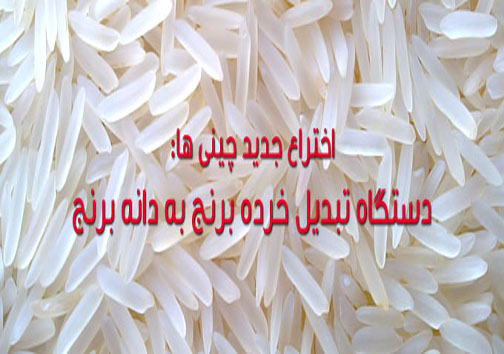 برنج&zwnj;های صددرصد ایرانی چقدر واقعیت دارد؟